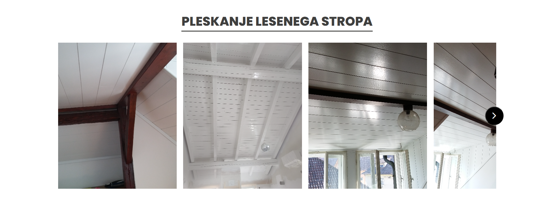 slika primera spletne strani 11