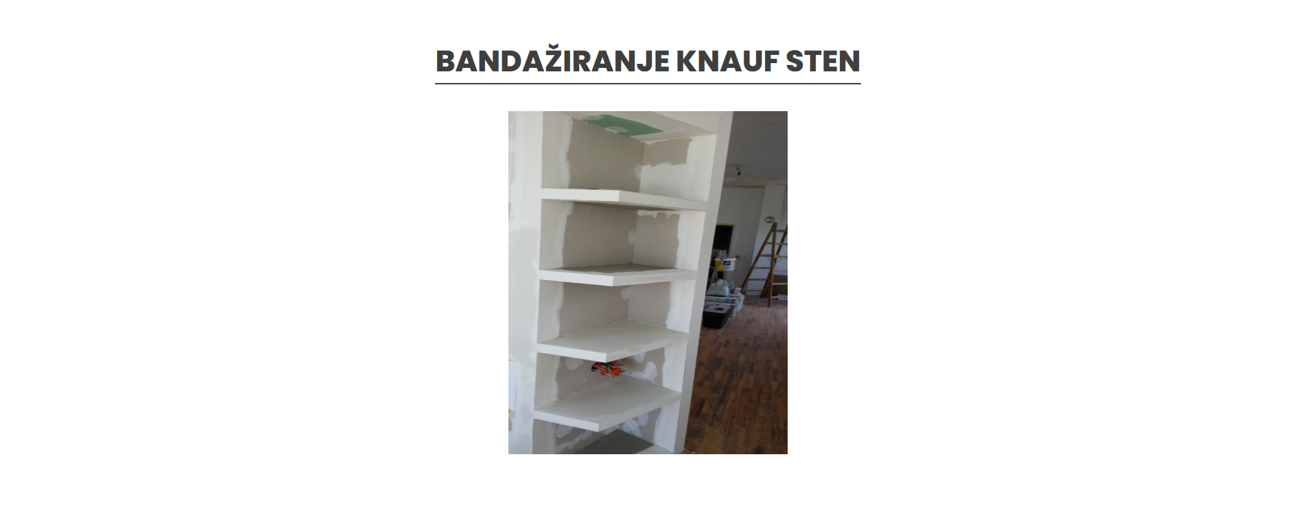 slika primera spletne strani 11